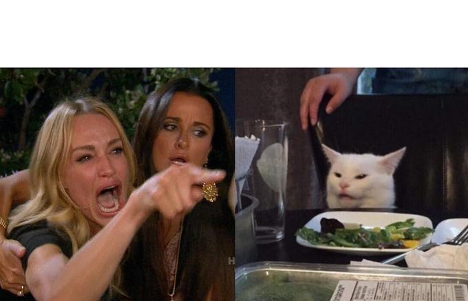 Emotional woman yelling at cat meme template