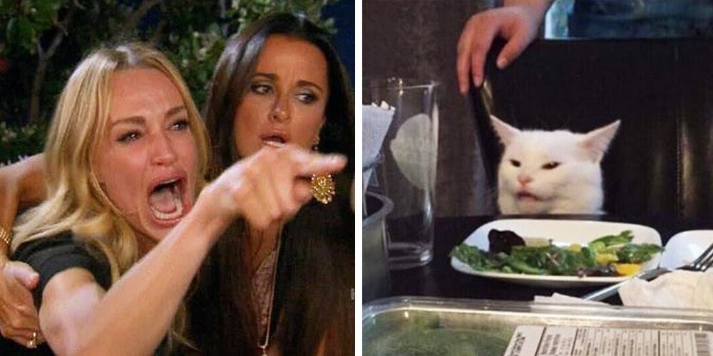 Emotional woman yelling at cat meme template
