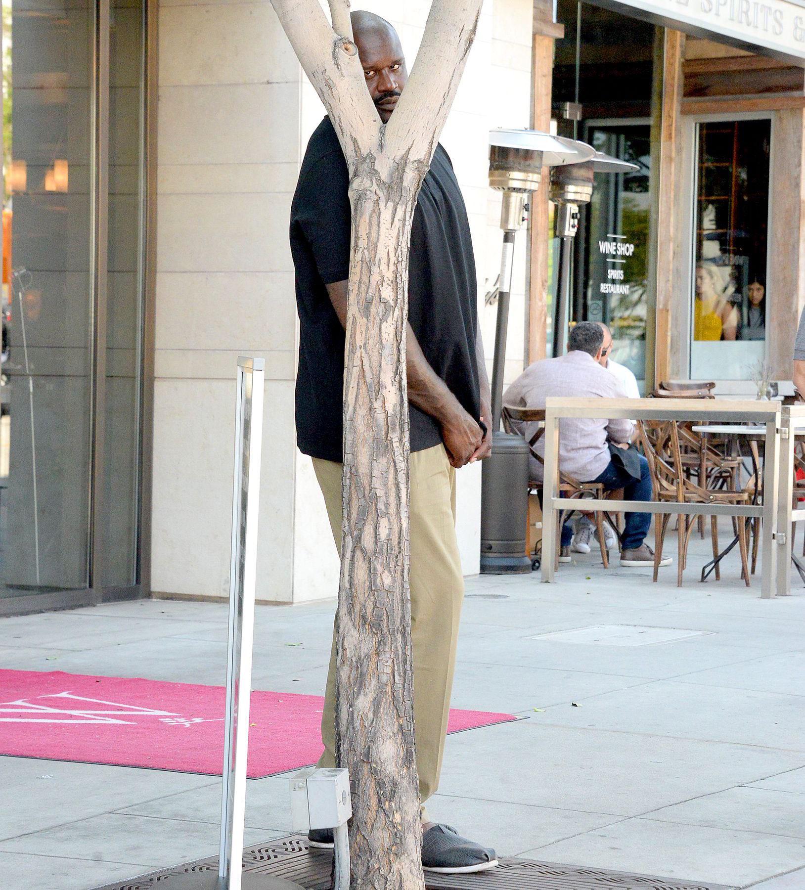 Shaq Hiding Behind Tree meme template