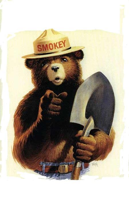 Smokey The Bear meme template