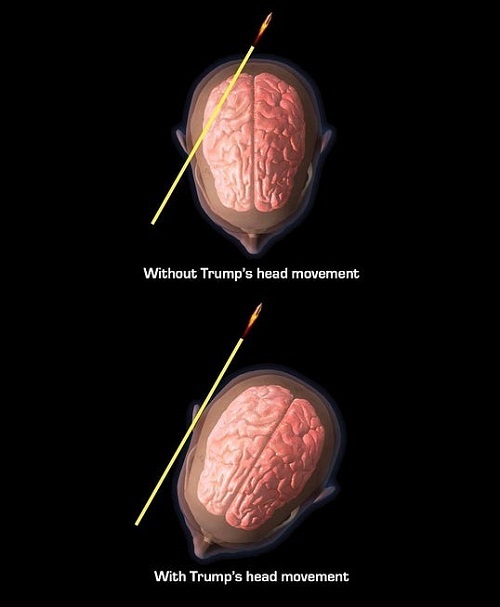 Trump's Head Movement