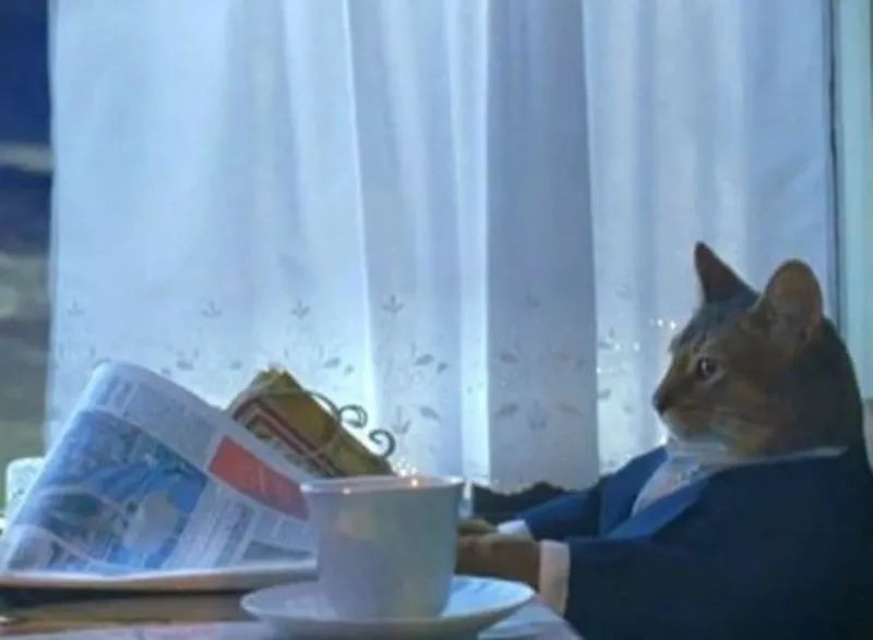 Cat Reading Newspaper - I Should Buy A Boat Cat meme template