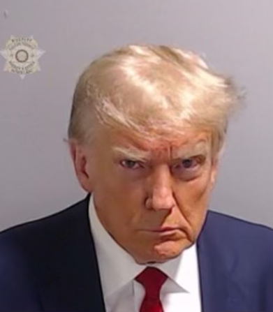 Donald Trump Mugshot meme template