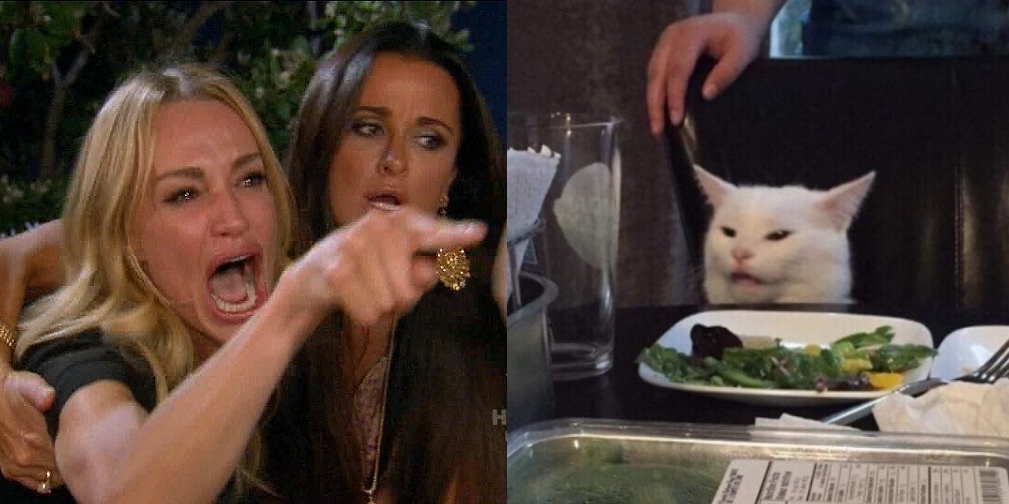 Emotional woman yelling at cat meme template