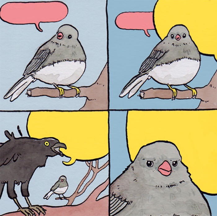 Interrupting bird meme template