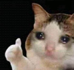 Sad Cat Gives Thumbs Up meme template