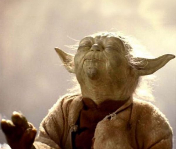 Yoda Smelling meme template